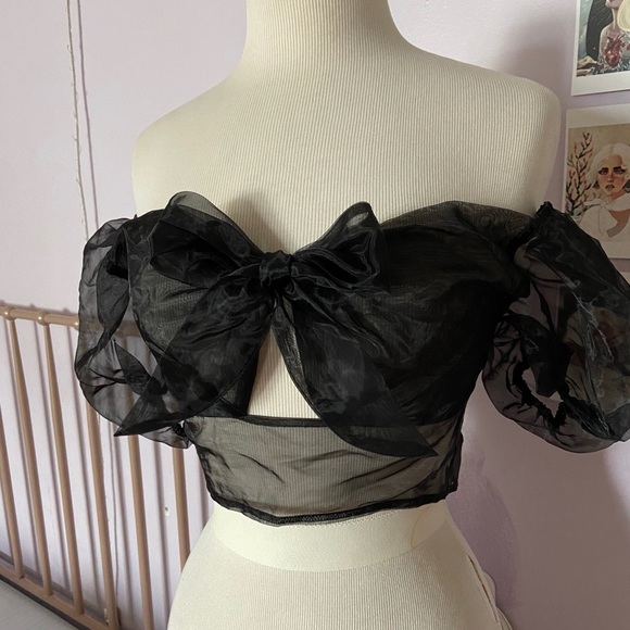 Showpo. Organza Crop Top - Picture 4 of 6